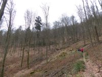 6  Saverne LE WASSERWALD 05 03 2017 12